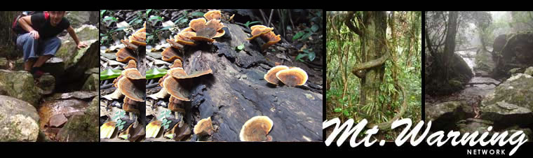 Mt Warning