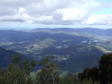 Mt Warning