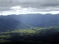 Mt Warning